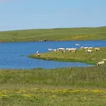 Aubrac Brameloup