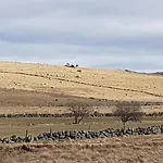 Aubrac Brameloup Tatil Evi Prades-d'Aubrac